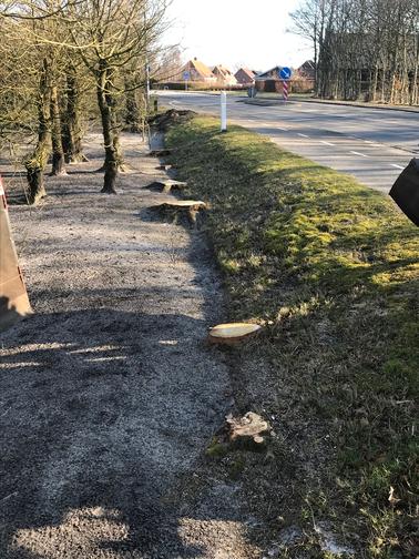 Før: Fjernelse af stub i have